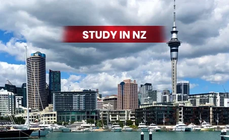 study in NZ
